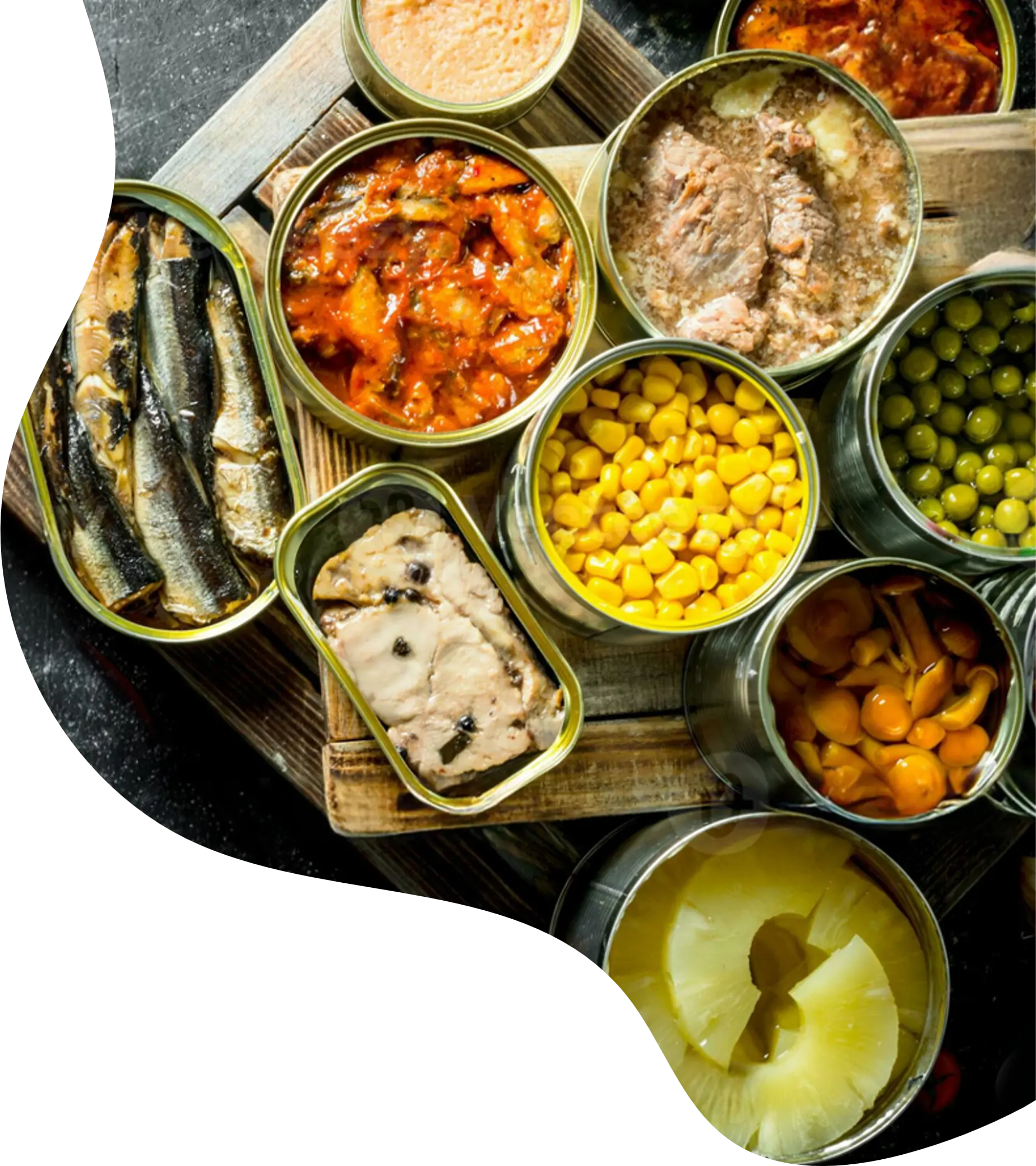 Cutlery Tab - Various canned foods